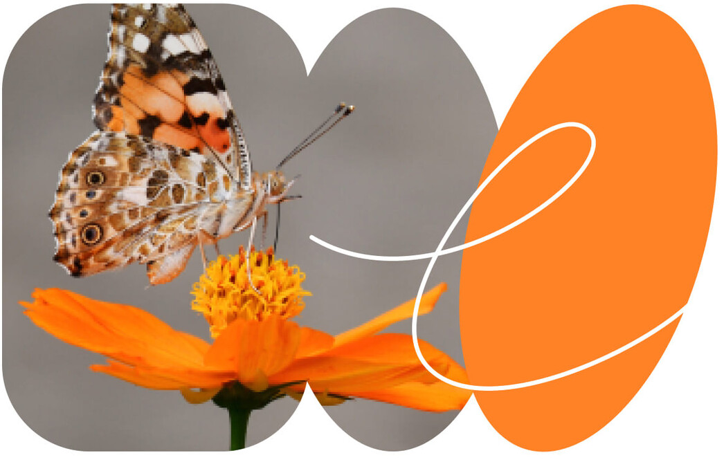 Форма МП (микро)-натура: сроки сдачи, инструкция по заполнению нулевая ...