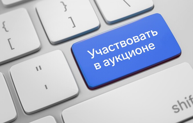 Как действовать на аукционе по 44‑ФЗ и 223‑ФЗ: разбираем стратегии поведения