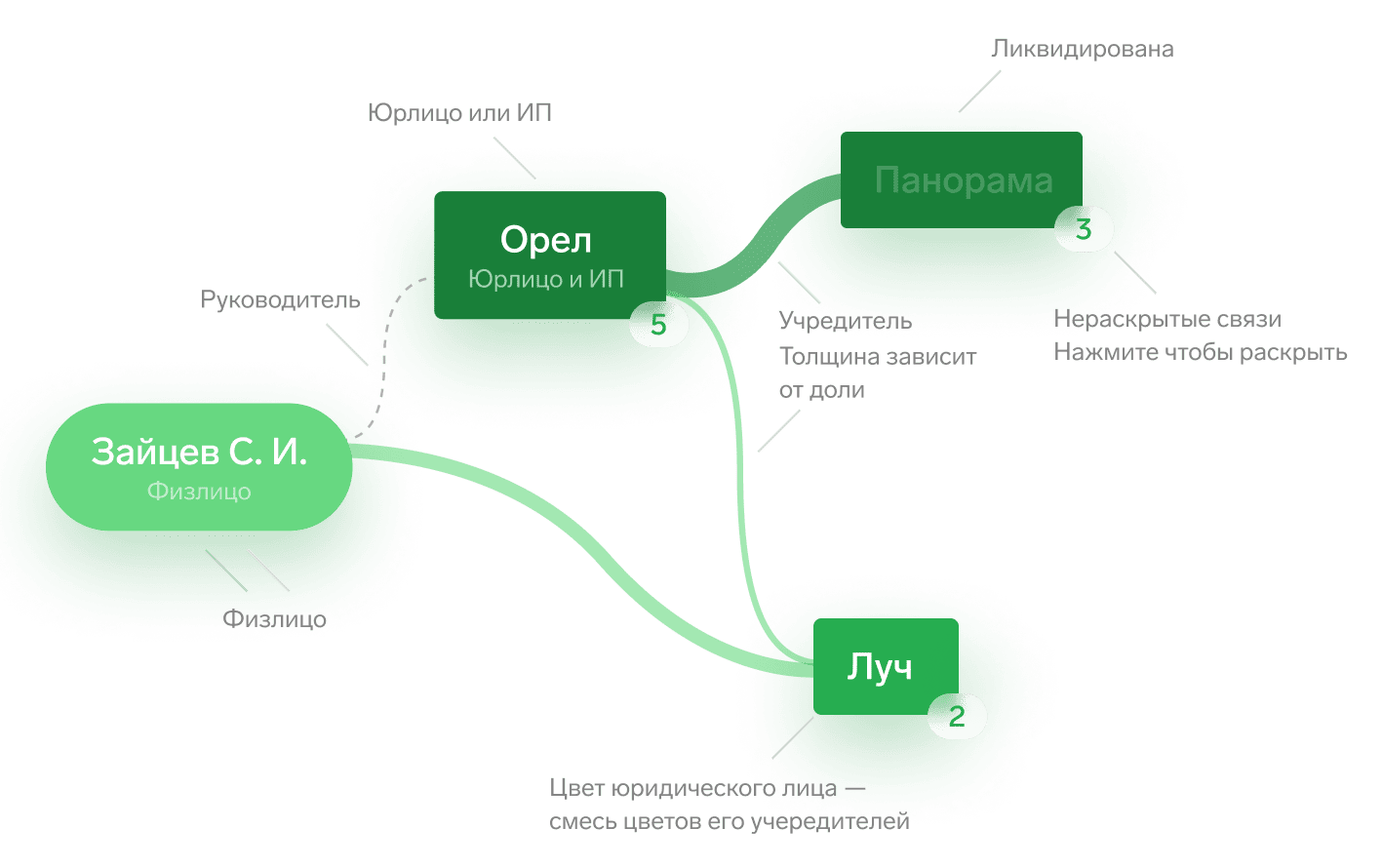 Связи между организациями в Контур.Фокусе