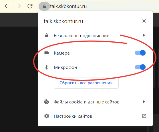 Как работать с камерой и микрофоном