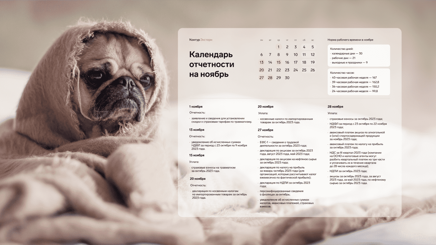 Скачайте обои для бухгалтера на ноябрь - Контур.Экстерн