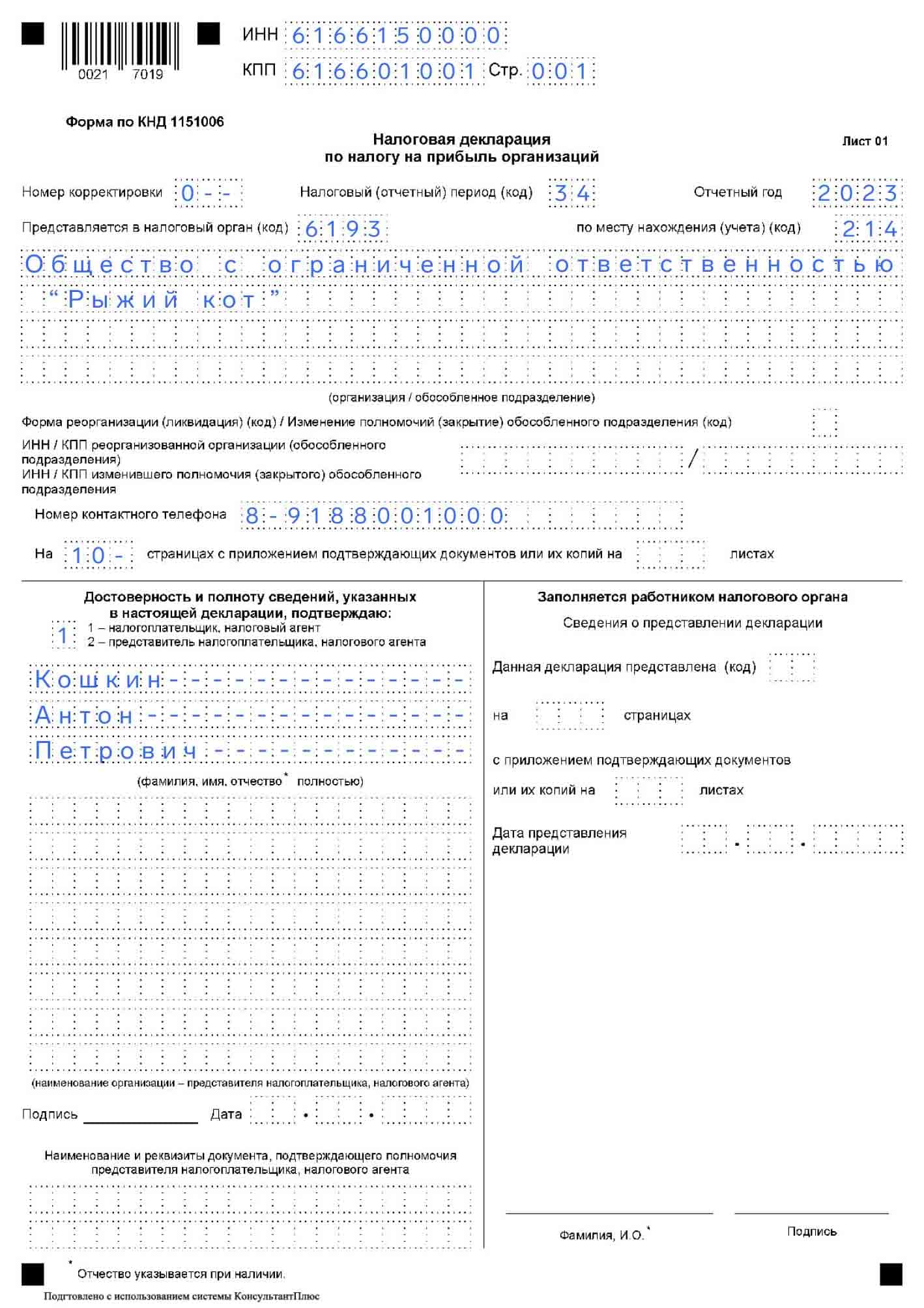 Ндпи заполнение декларации