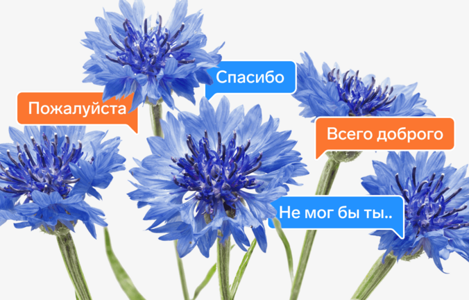 Правила экологичного общения, которые помогут избежать конфликтов в команде