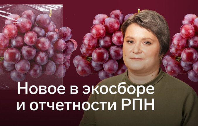 Новое в экосборе и отчетности РПН в 2025 году
