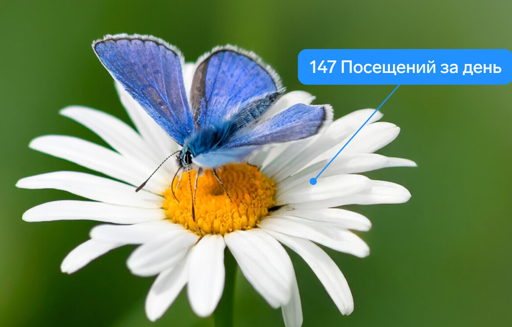 Продвижение вебинара: реклама, которая работает