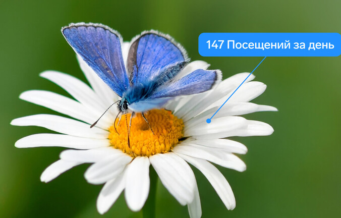 Продвижение вебинара: реклама, которая работает