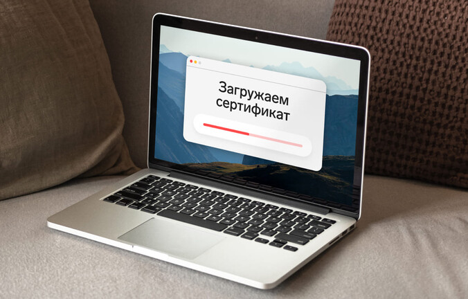 Как скачать сертификат электронной подписи