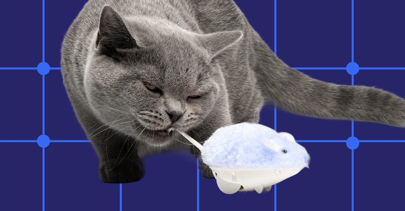 ГИС «Антикартель»: как «большой цифровой кот» ловит мошенников в госзакупках