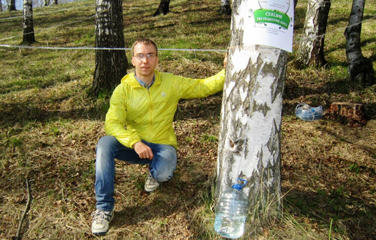 Деньги растут на деревьях: как заработать на березовом соке