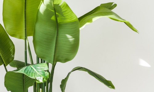 Бухгалтерские  новшества — 2026